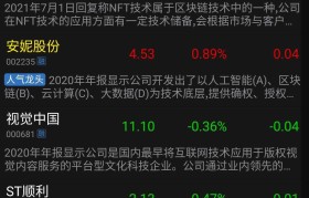 NFT中国网址(nft中国官网怎么入驻)